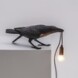 Seletti-Lighting-Marcantonio-bird-lamp-14736-bird_lamp_2z6a1822.jpg