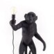 seletti-lighting-monkeylamps-black-14920-10_1.jpg